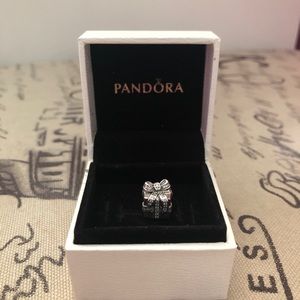 Pandora charm